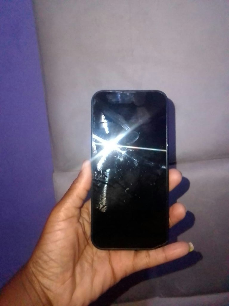 Apple iPhone 13